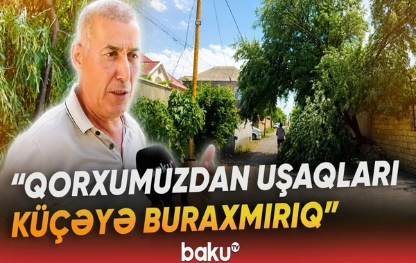 Sarayda təhlükəli vəziyyət: Uşaqlar həyətə buraxılmırlar - VİDEO