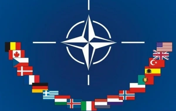 Mehmet Seyfettin Erol: "Yaxın gələcəkdə NATO-nun parçalanması mümkün görünmür"