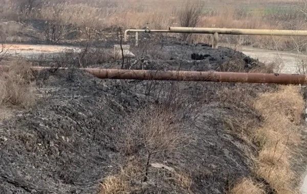 Ucarın 11 kəndi qazsız qaldı: "Yemək bişirə, çay qızdıra bilmirik" - VİDEO