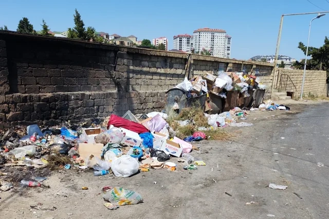 Masazırda sakinlər zibillikdən şikayətlənirlər: "Günlərdir daşınmır" - FOTO