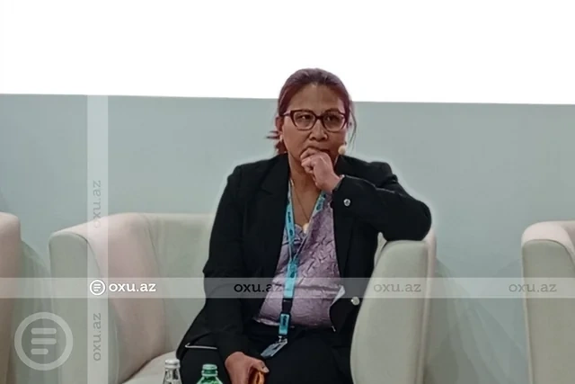 BMT rəsmisi: "Hər gün 2 milyondan çox yük maşını okeana zibil atır"