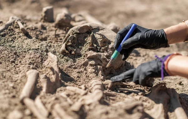 Danimarka arxeoloqları torpaq altındakı artefaktları tapan kamera yaradıblar