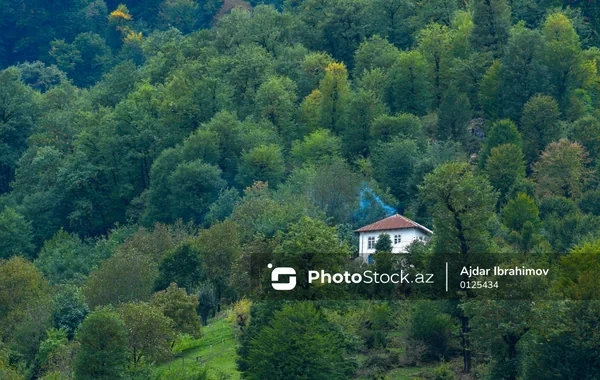 İdarə heyətinin sədri: "Ölkəmizdə bəzi kəndlərin yeri düzgün seçilməyib" - FOTO