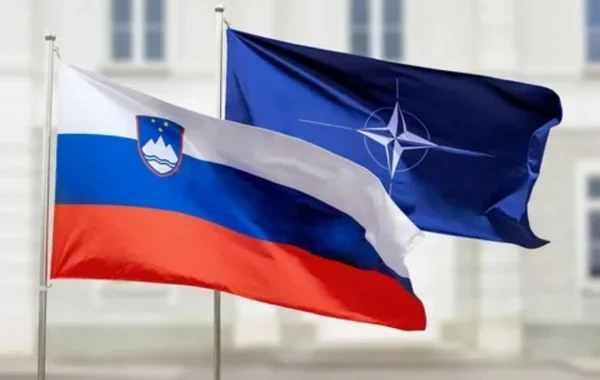 Sloveniyanın NATO-dan çıxması ilə bağlı referendum keçirilə bilər