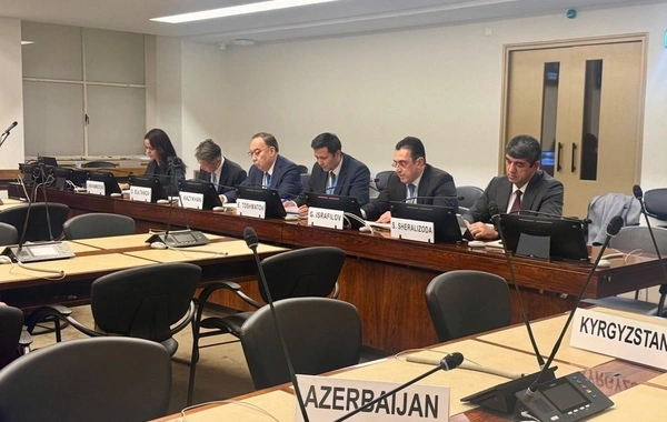 Daimi nümayəndə: "Mərkəzi Asiya və Azərbaycan vahid geosiyasi və geoiqtisadi regionu formalaşdırırlar"