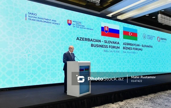 Nazir: "Azərbaycanda xüsusi sənaye inkişafı zonalarında "qoş - istifadə et" prinsipi tətbiq olunur"