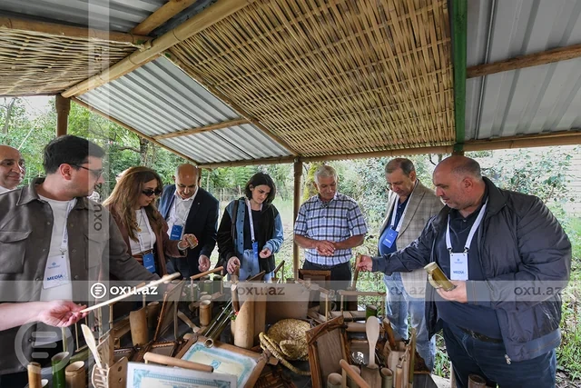 Zümrüd rəngli çay, arılar, Xanbulan - Lənkəranın gəzməli-görməli yerləri - FOTO