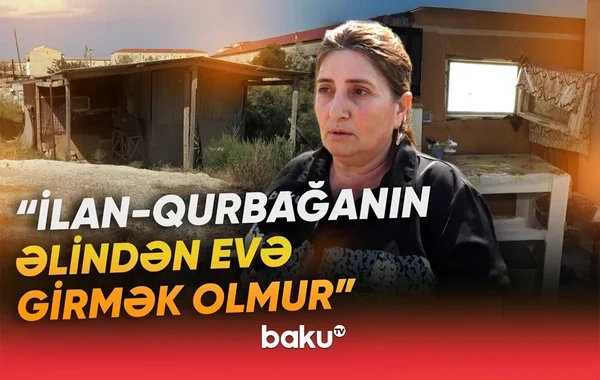 Məcburi köçkün ailəsi çətin vəziyyətdə: "Evə ilan-qurbağa girir" - VİDEO