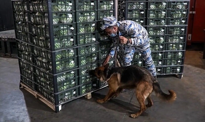 "Kahı" yükündən 22 kq narkotik çıxdı - Foto
