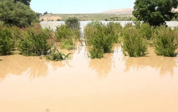 Kür çayı daha bir rayonda BƏNDİ UÇURTDU