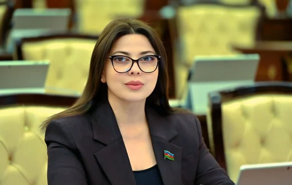 Səbinə Salmanova: "Energetika sahəsi Azərbaycan ilə Çexiya arasında münasibətlərin əsas dayaqlarından biri hesab olunur"