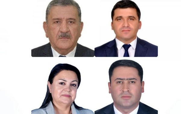Naxçıvan Ali Məclisinin komitələrinin sədrləri seçilib