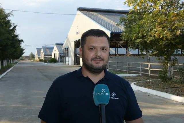 100 hektar yeni bağ, minlərlə ton məhsul: Şimal regionun aqrar potensialı artır - FOTO - VİDEO