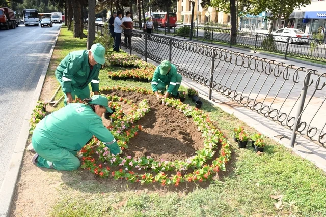Bakıda növbəti irimiqyaslı iməcilik keçirilib - FOTO