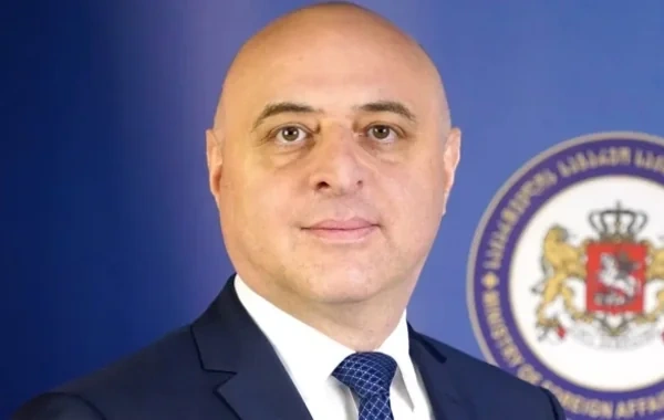 Gürcüstan Azərbaycana yeni səfir təyin etdi
