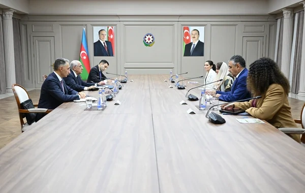 Baş nazir Əli Əsədov Rəqəmsal Əməkdaşlıq Təşkilatının Baş katibi ilə görüşüb - Foto