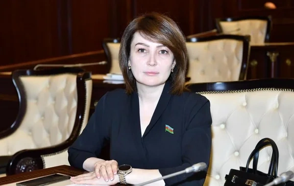 Azərbaycanda nazir müşaviri böyük məbləğdə cərimələndi