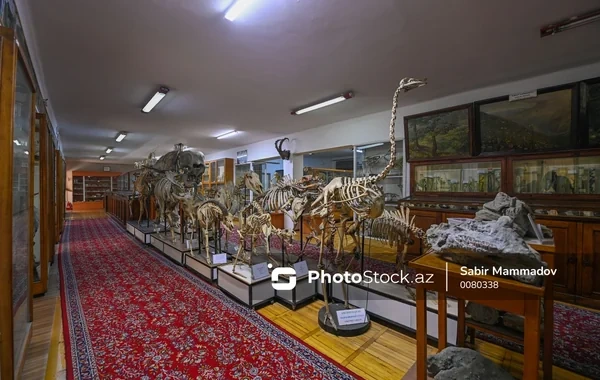 Bakıda yeni muzey yaradılacaq