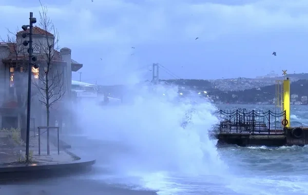 İstanbulda güclü fırtına: Dam örtükləri uçub, ağaclar aşıb - VİDEO