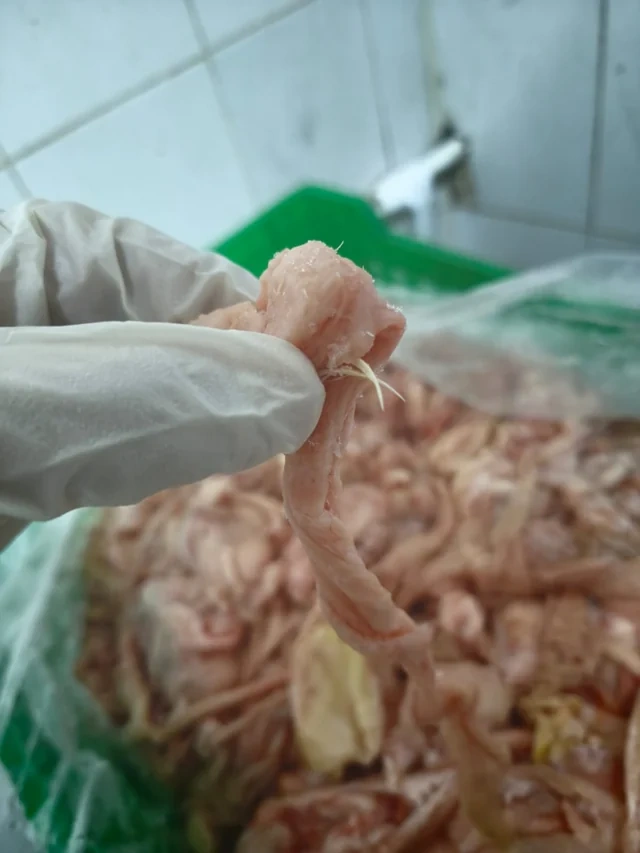 İçindən toyuq tükü çıxan kolbasanı istehsal edən müəssisə ilə bağlı TƏDBİR GÖRÜLDÜ - FOTO