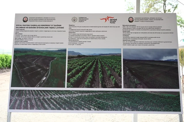 Xocalıda baramaçılığın inkişafı üçün yaradılmış infrastruktura baxış keçirilib