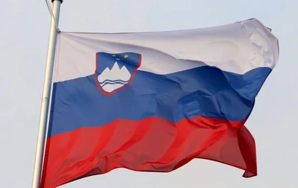 Sloveniya XİN İranın Naxçıvan hava limanına hücumunu pisləyib