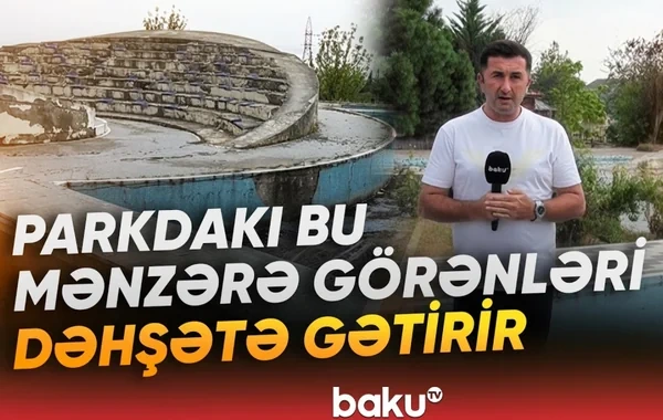 Oğuzun girişində yerləşən park baxımsızlıqdan məhv olur - VİDEO