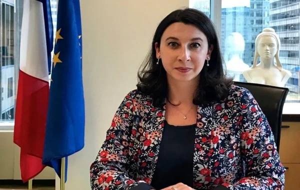 Fransa səfiri Azərbaycana təşəkkür etdi