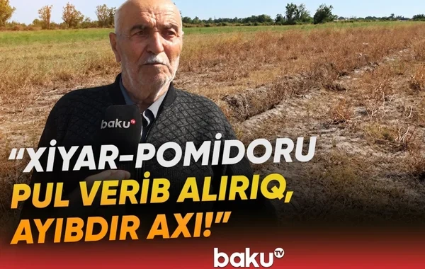 Əkin sahələri susuzluqdan məhv olan sakinlər şikayətçidir - VİDEO