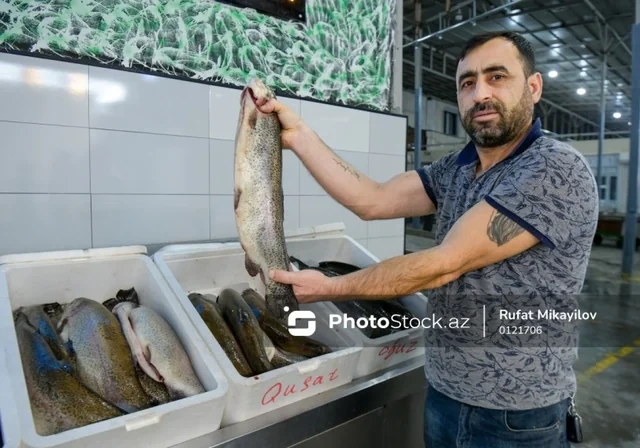 Balıq bazarında yeni tənzimləmələr məhsulun ucuzlaşmasına müsbət təsir göstərəcək?