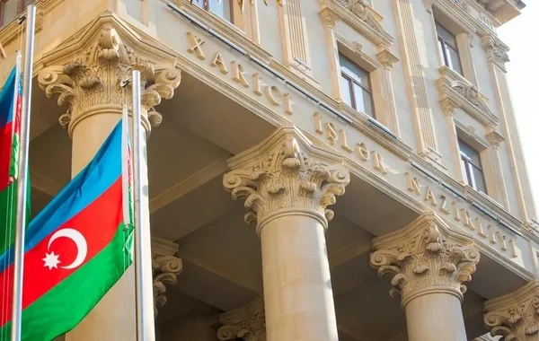13 Azərbaycan vətəndaşı Suriyadan repatriasiya edilib