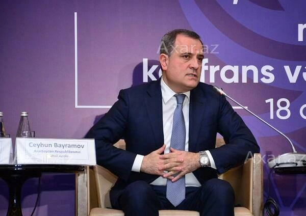 Onların ölkəyə qaytarılması üçün sistemli iş aparılır - Nazir