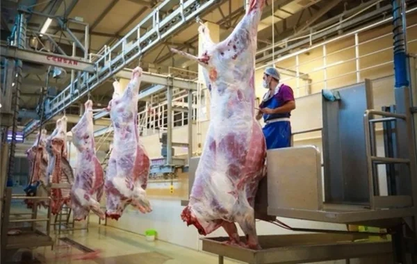 Qurbanlıq ət kəsildikdən neçə saat sonra yeyilməlidir? - Mütəxəssis məsləhəti
