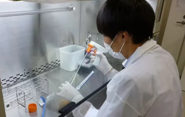 Yaponiya qida borusu xərçənginə qarşı dünyada ilk virus preparatını təqdim edib