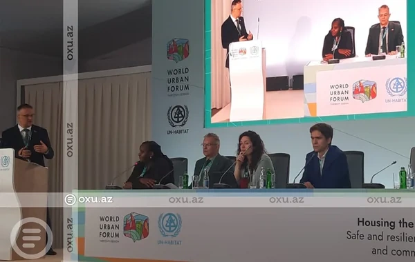 Bojan Boqdanovic: "Ağıllı", əlçatan evlər tikmək və enerji xərclərini azaltmaq lazımdır"