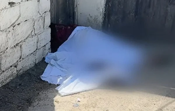 Sarayda qardaşı arvadını mülkə görə öldürdü, 17 il cəza aldı