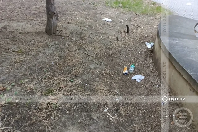 Bakının məşhur parkı baxımsız qalıb - FOTO